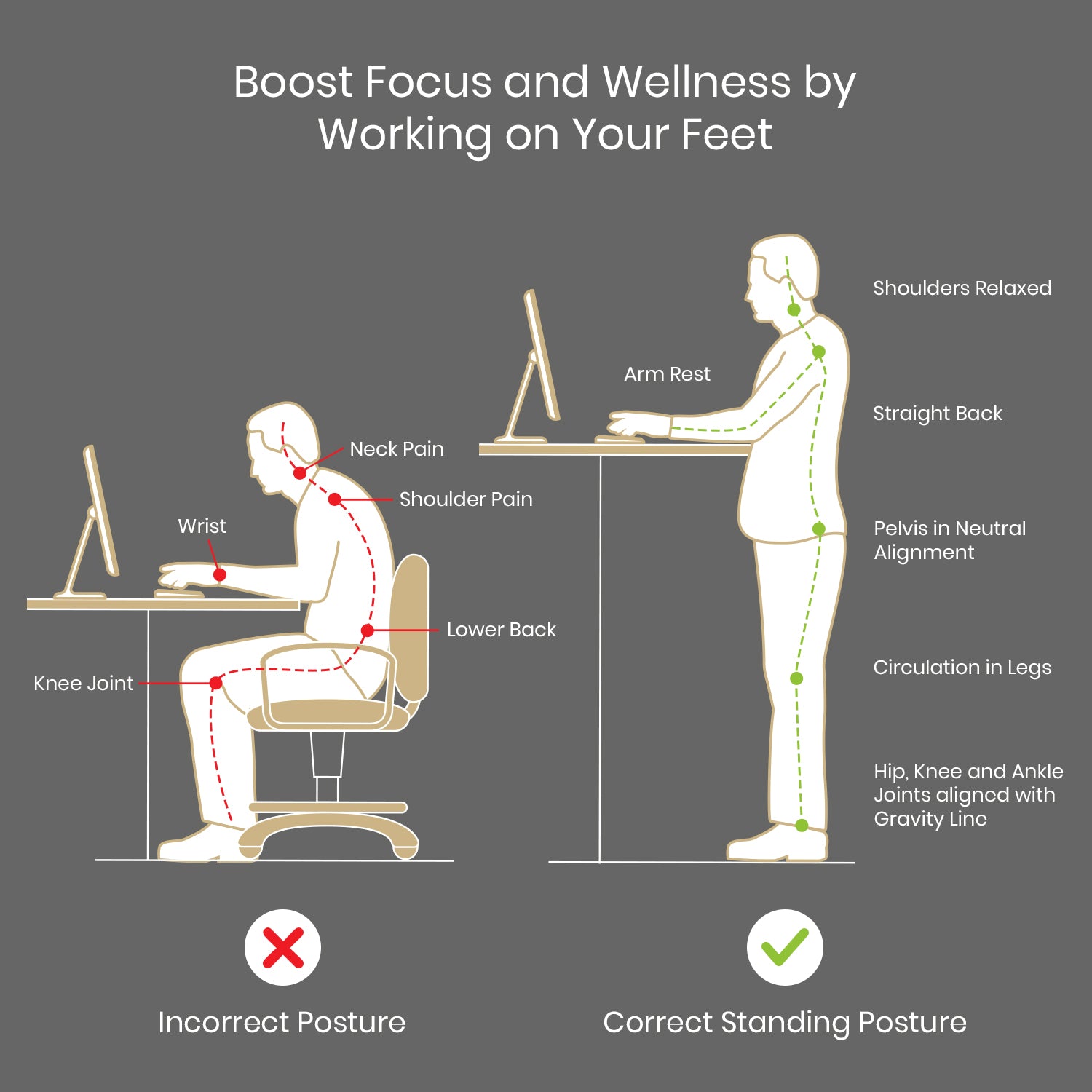 Manual Hand Cranked Standing Desk with 25mm Pre Drilled Tabletop 60kg Weight Capacity - Flow Series